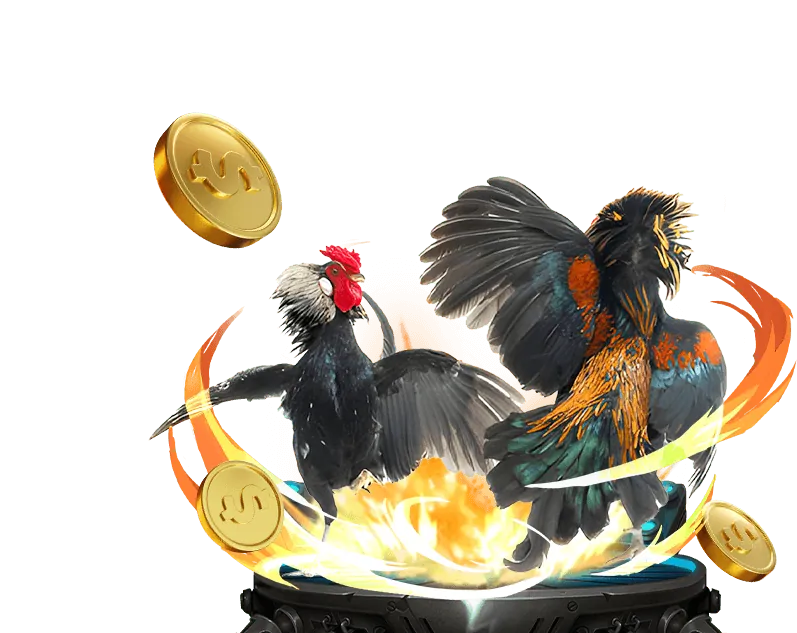 Hai chú gà trống đang giao chiến trong một đấu trường đá gà truyền thống, thể hiện đá gà trực tiếp của đá gà 88.net